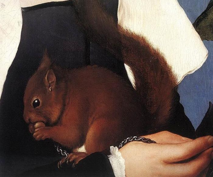 Hans holbein the younger Portrait of a Lady with a Squirrel and a Starling oil painting image